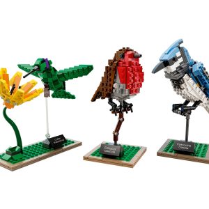 Huur de LEGO Birds